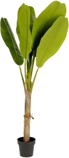 Banano, Künstliche Pflanze, grün/schwarz, H160x90x90 cm