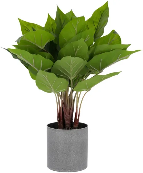 Anthurium, Kunstpflanze, grün/grau, H50x40x40 cm