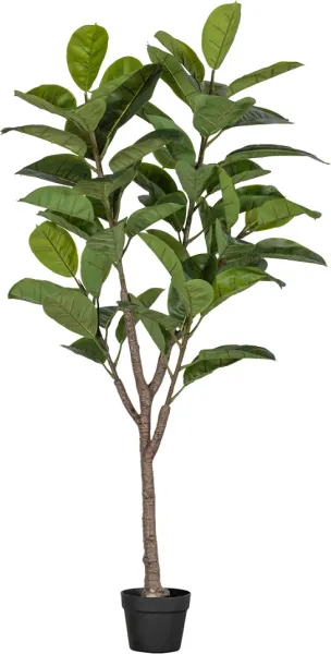 Gummibaum, Kunstpflanze, grün, H135x74x55 cm