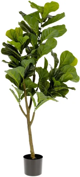 Ficus, Künstliche Pflanze, grün/schwarz, H150x60x60 cm