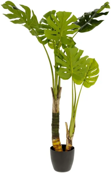 Monstera, Künstliche Pflanze, grün/schwarz, H130x60x60 cm